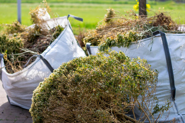 Best Attic Cleanout Services  in Lifornia City, CA
